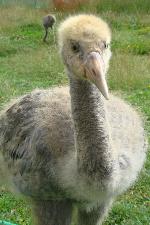 Black Green Yellow on 25th July 2013 Black Green Yellow on 25th July 2013